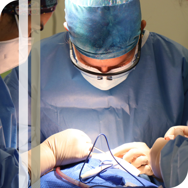 Surgery image2 Dental surgeon working with a patient